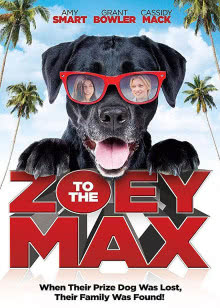 茅莹今日秀[2018]