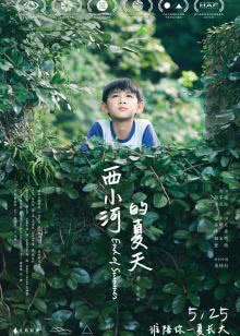 国服花木兰请求出战！