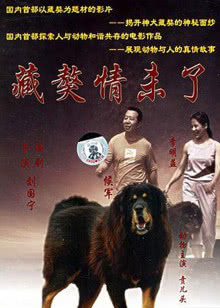 金牌流浪狗